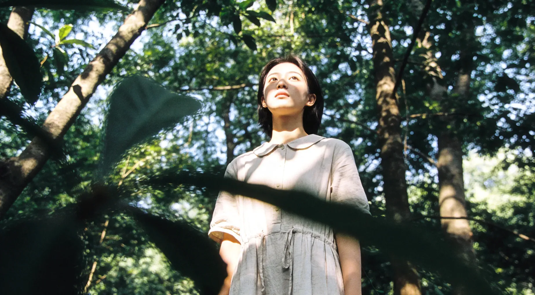 EV录屏：免费录屏神器